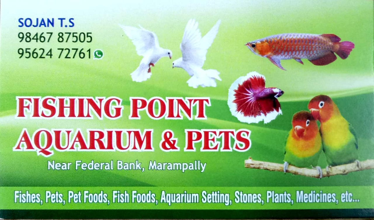 FISHING POINT AQUARIUM AND PETS , ALUVA, PETS & AQUARIUM,  service in Aluva, Ernakulam