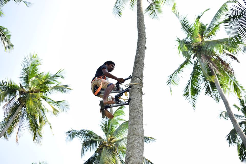 Abdul Nazar, COCONUT PLUCKING,  service in Vadakara, Kozhikode