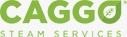 Caggo steam world, CAR SERVICE,  service in Chengannur, Alappuzha