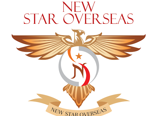 New Star Overseas, CONSULTANCY,  service in Kottayam, Kottayam