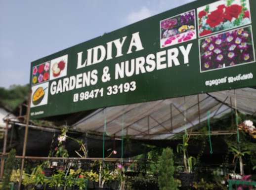 Lidiya Nursery, PLANT NURSERIES,  service in Thellakom, Kottayam