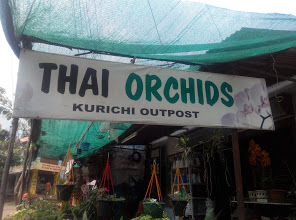 Thai Orchids, PLANT NURSERIES,  service in Kurichy, Kottayam