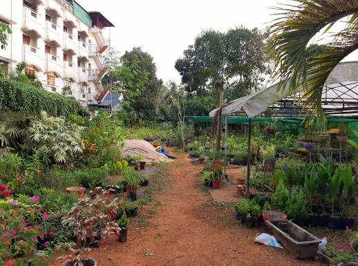 Rose Nursery & Gardens, PLANT NURSERIES,  service in Mannanam, Kottayam