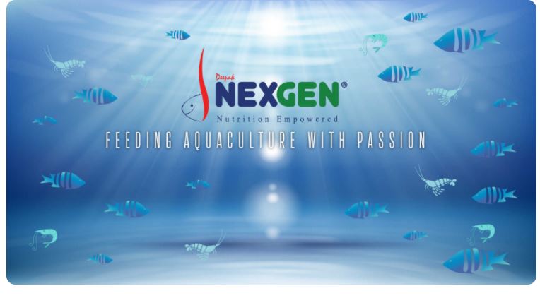 Nexgion Technologies Llp, I T,  service in Pallippad, Alappuzha