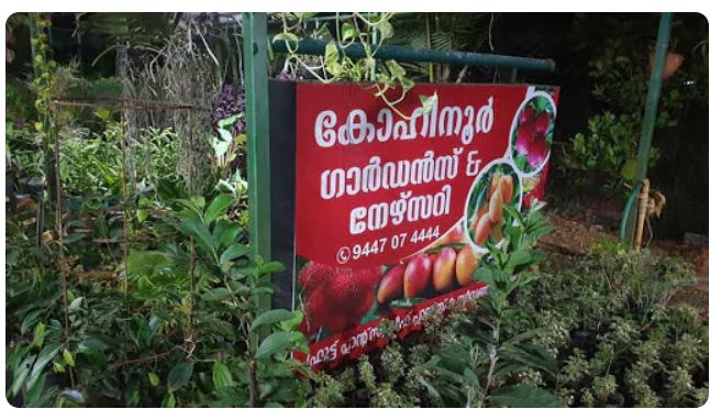 Kohinoor Gardens, PLANT NURSERIES,  service in Alappuzha, Alappuzha