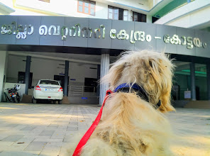 District Veterinary Centre, VETERINARY & POULTRY,  service in Kodimatha, Kottayam