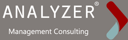 ANALYZER MANAGMENT CONSULTING, CONSULTANCY,  service in Doha, Doha