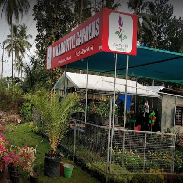 Mulamoottil Gardens, PLANT NURSERIES,  service in Nilamel, Kollam