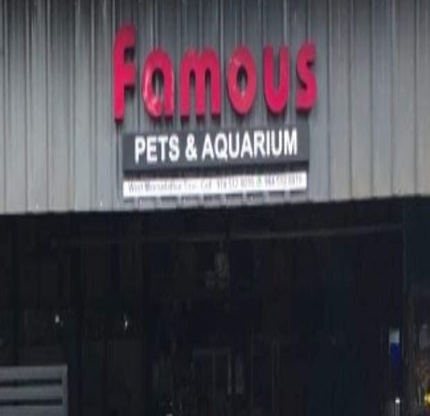 Famous Pets & Aquarium, PETS & AQUARIUM,  service in Tirur, Malappuram