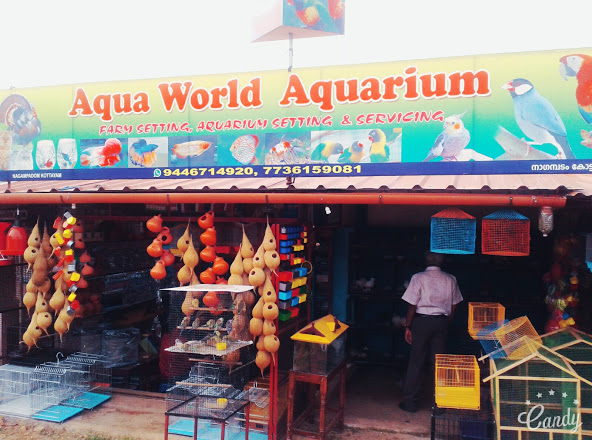 Aqua World Aquarium, PETS & AQUARIUM,  service in Nagambadam, Kottayam