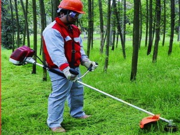 Rahaman, GRASS CUTTING,  service in Changanasserry, Kottayam