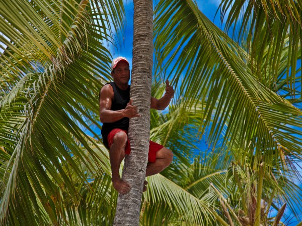 Saneesh, COCONUT PLUCKING,  service in Thiruvambadi, Kozhikode