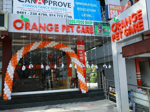Orange Pet Care & Dog Food shop, PETS & AQUARIUM,  service in Kanjikuzhi, Kottayam
