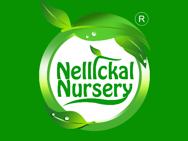 Nellickal nursery, CONSULTANCY,  service in Ponnani, Malappuram