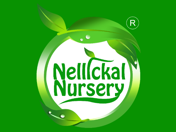 Nellickal Nursery, PLANT NURSERIES,  service in Ponnani, Malappuram