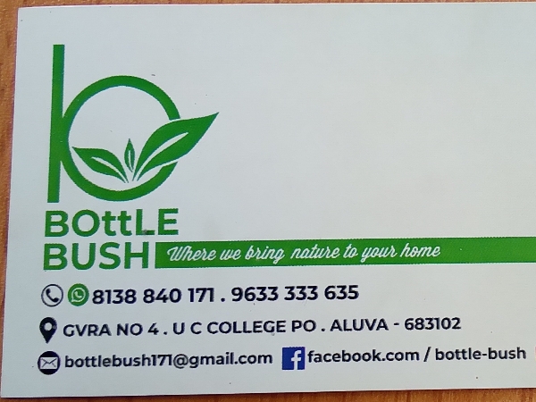 BOTTLE BUSH, ORGANIC,  service in Aluva, Ernakulam