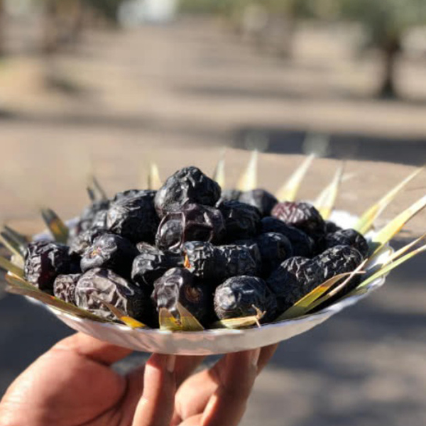 Ajwa / Ajwa Aliya - Saudi Arabian (Al-Madina) Dates