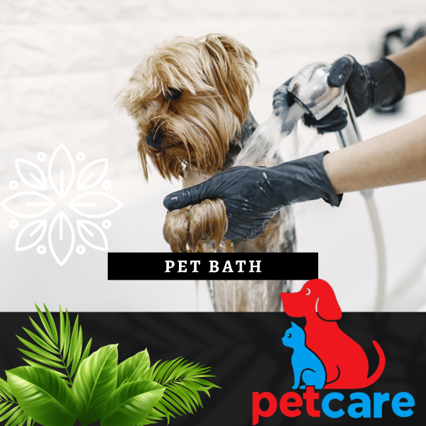 Pet Bath