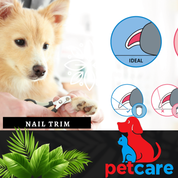 Nail Trimming