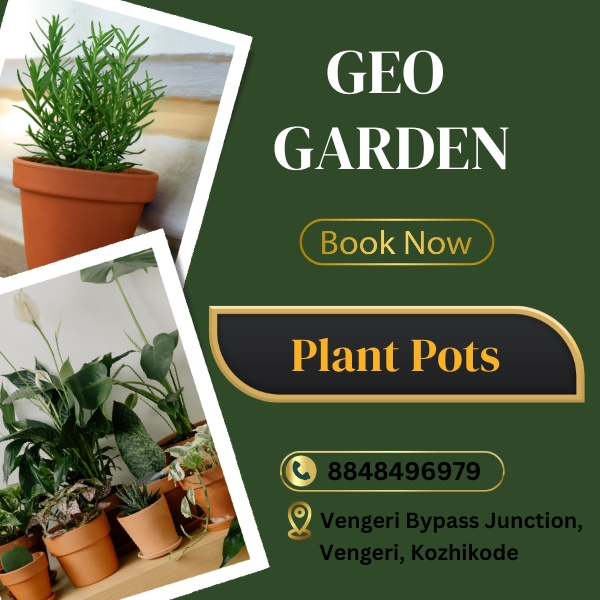 Plant Pots