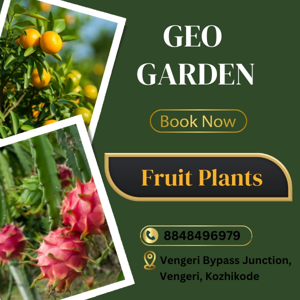 Fruit Plants