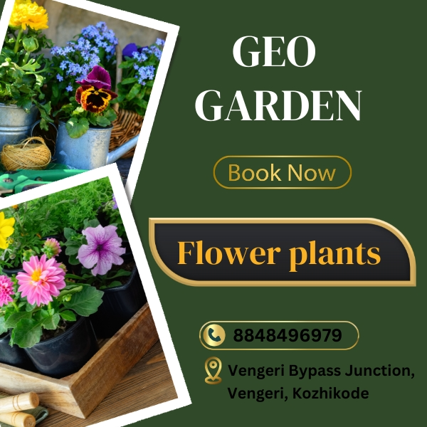 Flower Plants