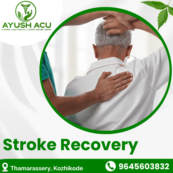 Stroke Recovery