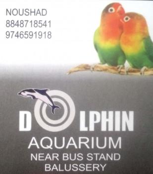 DOLPHIN, PETS & AQUARIUM,  service in Balussery, Kozhikode