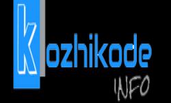 ROYAL MOSQUITO NET INSTALLATION, MOSQUITO NET INSTALLATION,  service in Kozhikode Town, Kozhikode