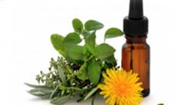 SAI HOMEO MEDICINES