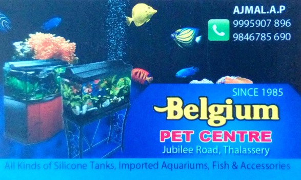 BELGIUM PET CENTRE, PETS & AQUARIUM,  service in Thalassery, Kannur