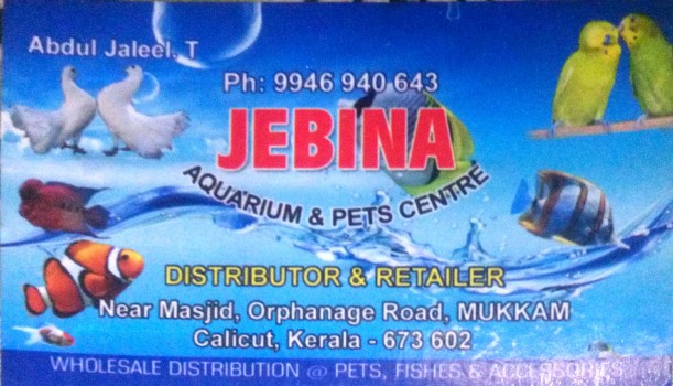 JEBINA, PETS & AQUARIUM,  service in Mukkam, Kozhikode