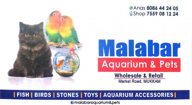 MALABAR, PETS & AQUARIUM,  service in Mukkam, Kozhikode