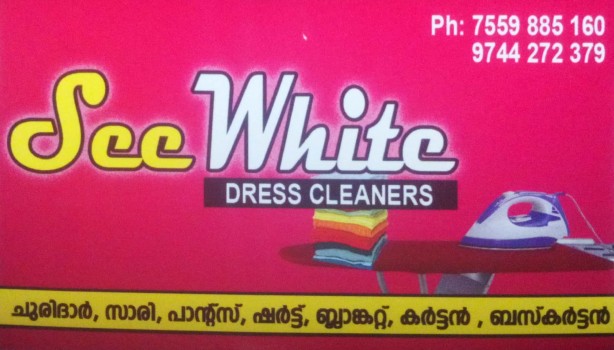 SEE WHITE, DRY CLEANING,  service in Mukkam, Kozhikode
