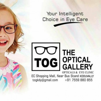 THE OPTICAL GALLERY, OPTICAL SHOP,  service in Koduvally, Kozhikode