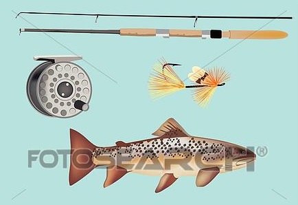 Fishing Accessories