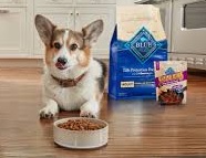 Pet Food & Accessories