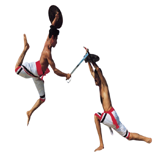 EDUCATION, Kalaripayattu in Kerala