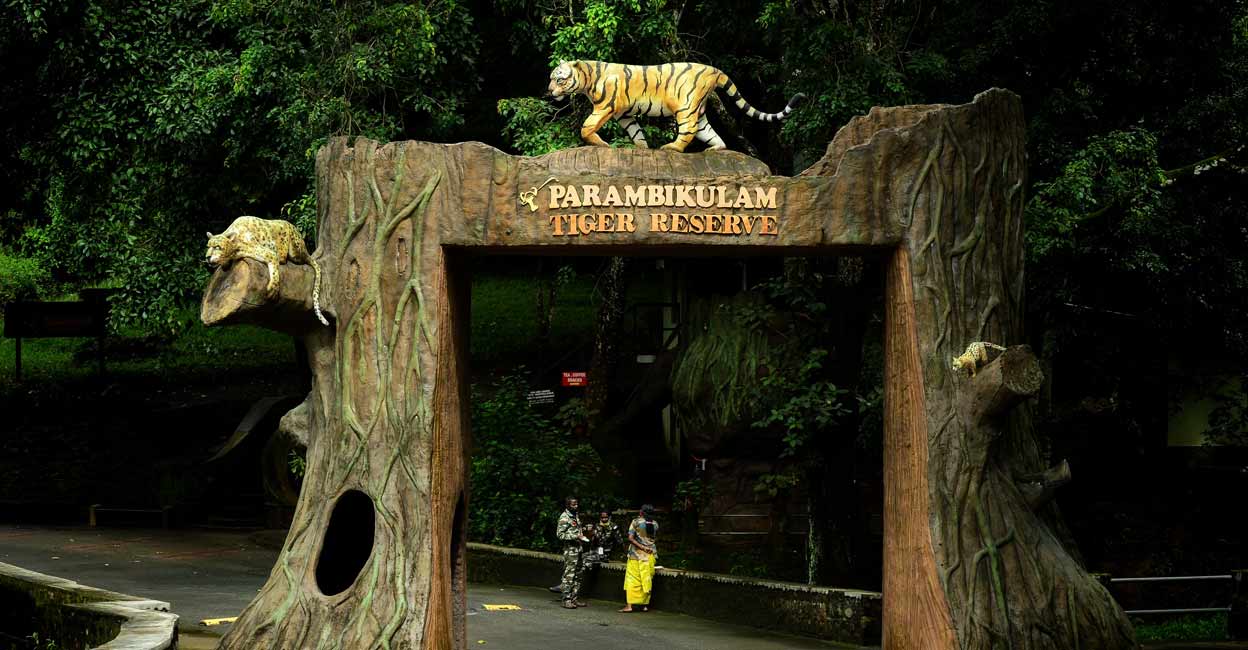 Parambikulam Tiger Reserve