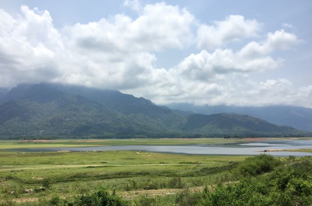 palakkad kava