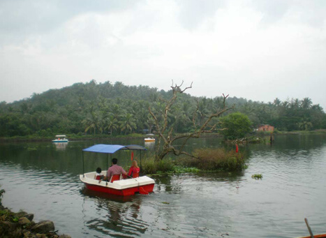 Kalipoika  Kozhikode