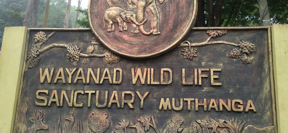 Wayanad Wildlife Sanctuary