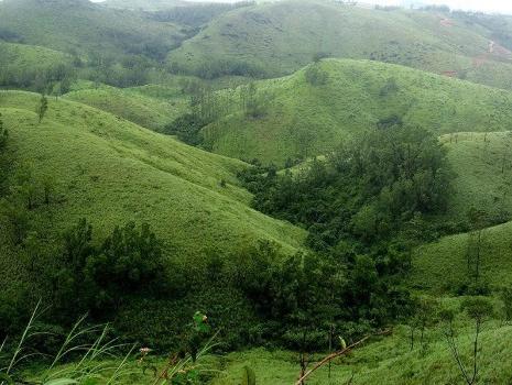 VAGAMON